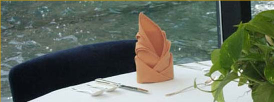 Novel Napkins -Arum Lily