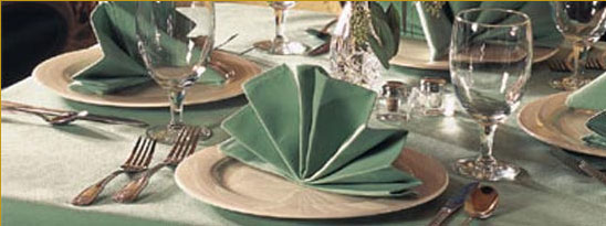Novel Napkins - Lady Windemere's Fan